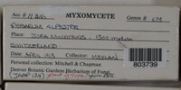 Image Associated With the Occurence